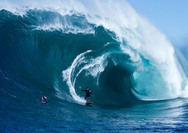 Where the boardriding familly meets.